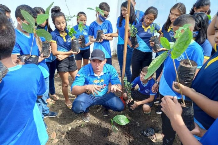 Plantio de mudas de flores e espécies frutíferas deve mudar paisagem de Gurupá