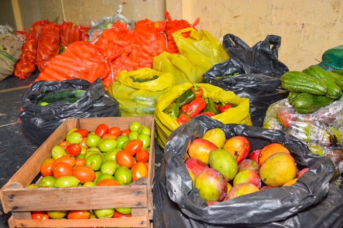 Programa de Aquisição de Alimentos beneficia 253 agricultores de Vitória da Conquista em sua 10ª edição