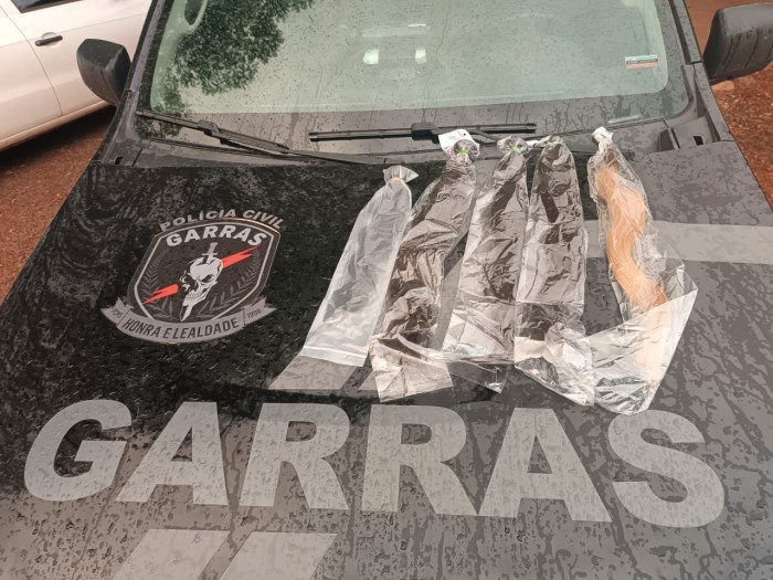 Polícia Civil apreende carga de cabelo humano em Ponta Porã