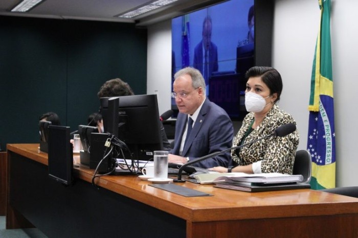 Especialistas apontam necessidade de menos partidos no regime semipresidencialista