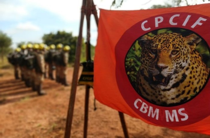 Meio Ambiente: Corpo de Bombeiros inicia curso de combate a incêndios florestais nesta terça