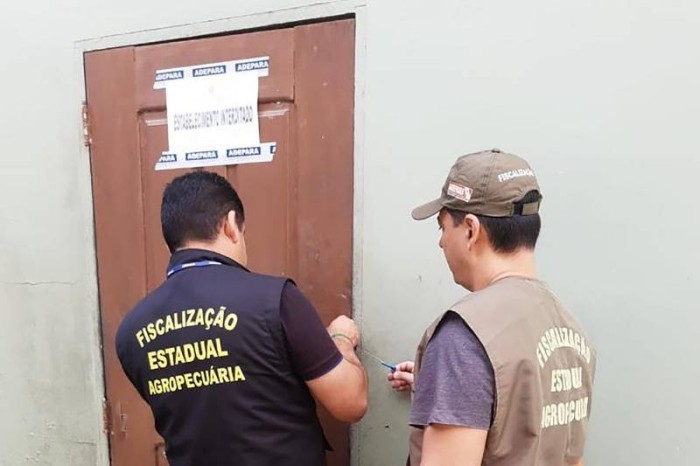 Adepará interdita abatedouro de aves que oferecia riscos à saúde pública