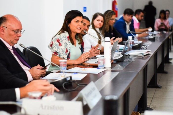 Seduc participa de reunião da Frente Parlamentar de Combate à Pobreza, que tem educação como tema central