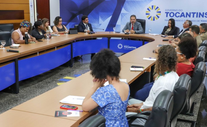 Governo do Tocantins e Conselho Nacional dos Direitos Humanos debatem ações a serem implantadas no Estado