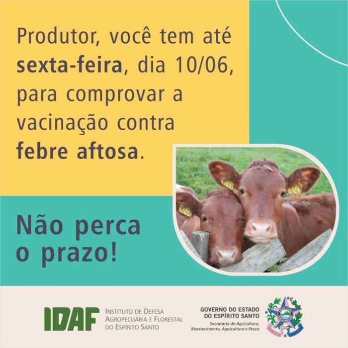 Comprovação da vacinação contra febre aftosa vai até sexta-feira (10)