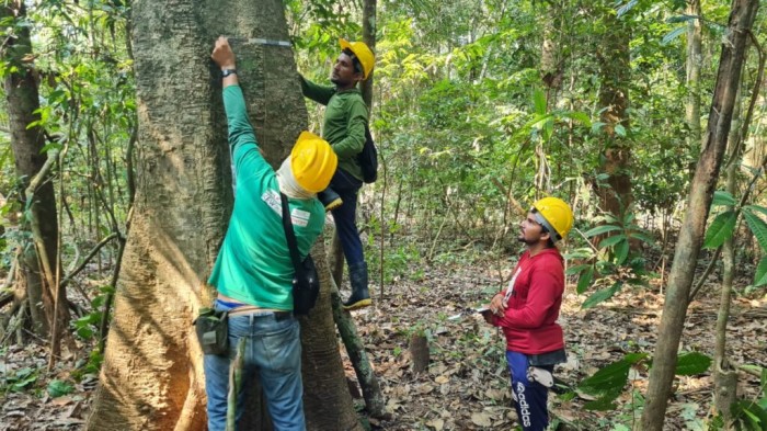 Sema e Idam capacitam moradores para construção do Inventário Florestal da Resex Canutama 
