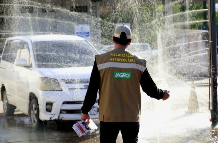 Governo vai declarar Estado de Emergência Zoosanitária e intensificar ações de prevenção à influenza aviária