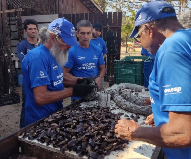 Foto: Reprodução/Prefeitura de São Sebastião - SP