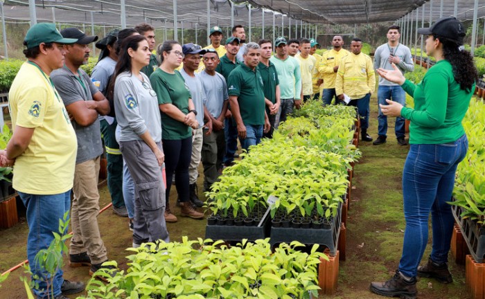 Brigadistas do Naturatins participam de curso sobre coleta de sementes nativas do Cerrado