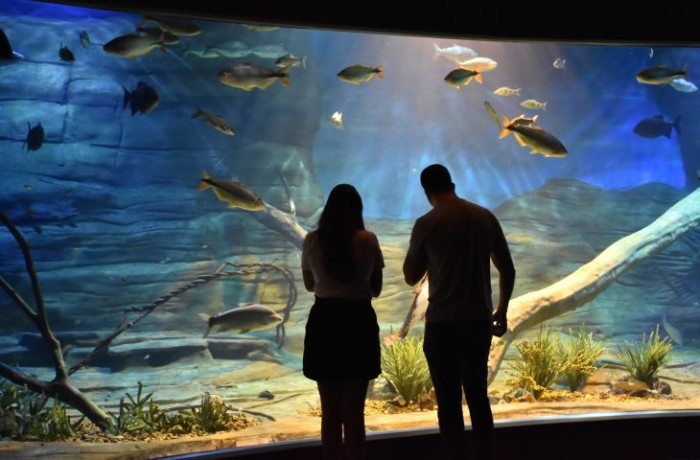 Bioparque Pantanal contribui para que Campo Grande receba nota A do Ministério do Turismo