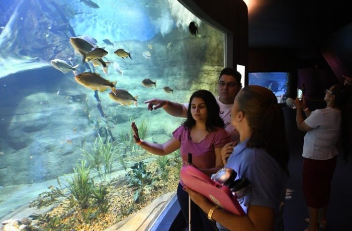 Bioparque garante inclusão de pessoas cegas com visitas guiadas e uso de tecnologia