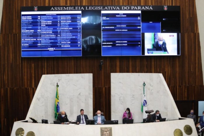 Deputados aprovam redação final do projeto que obriga agressores a arcar com despesas veterinárias de animais agredidos. / Créditos: Dálie Felberg/Alep