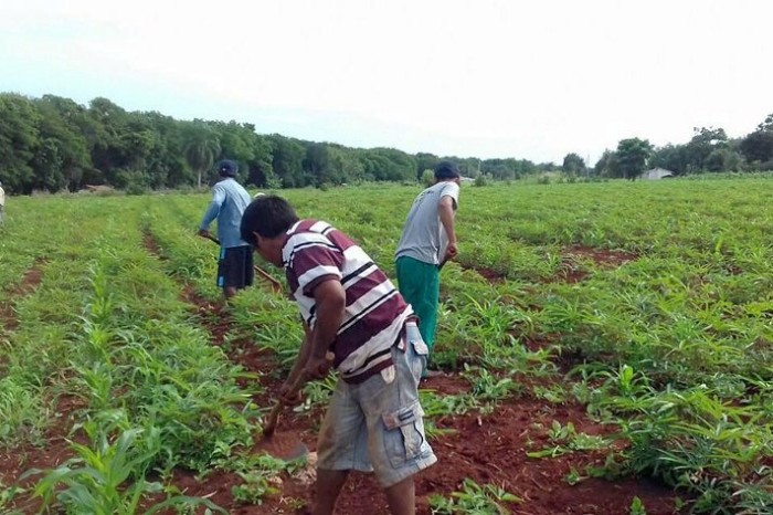 Foto: SEJUF-PARANÁ
