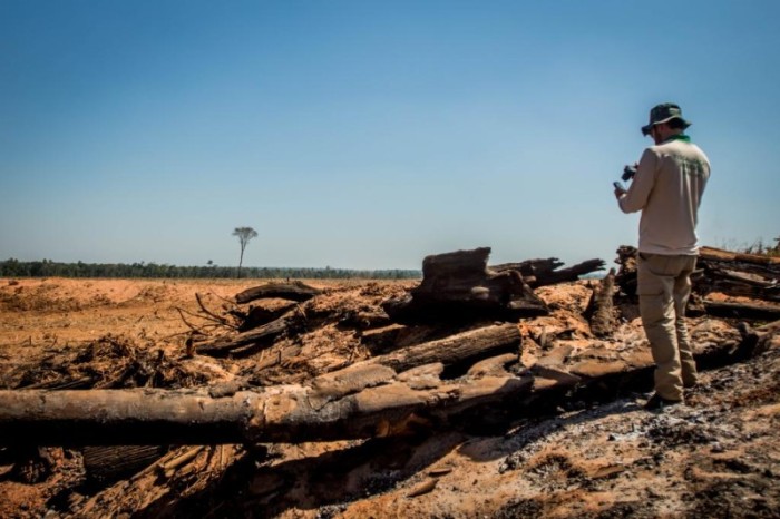 Operação de combate ao desmatamento ilegal - SEMA - Foto por: Christiano Antonucci