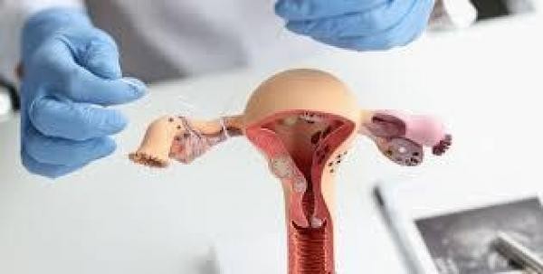 Foto: Reprodução/Câmara de Sorriso - MT