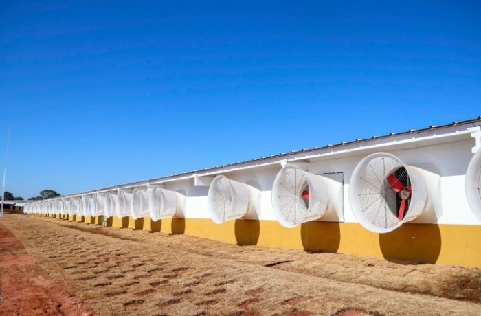 Atraída para MS em evento nacional, granja reforça cadeia produtiva e aposta no sustentável