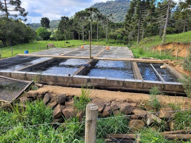 Encontro vai alavancar a produção de peixes na região mais fria de Santa Catarina