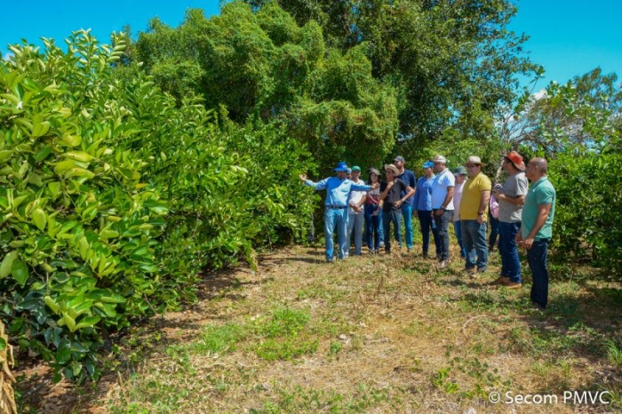 Técnicos da SMDR conhecem plantação de limão-taiti na zona rural de Tanhaçu