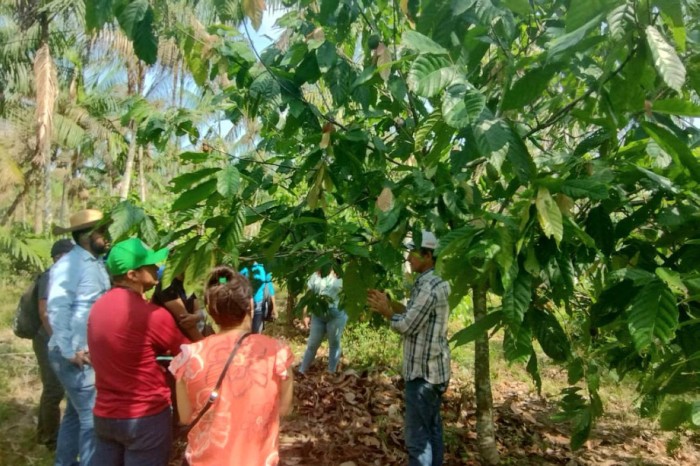 Crédito: Divulgação