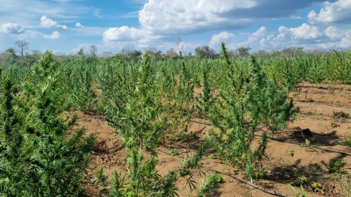 Foto: Reprodução/Secom Maranhão