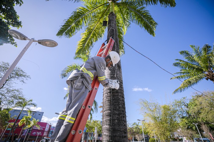 Camaçari ganha brilho e enfeites com início da instalação de iluminação de Natal