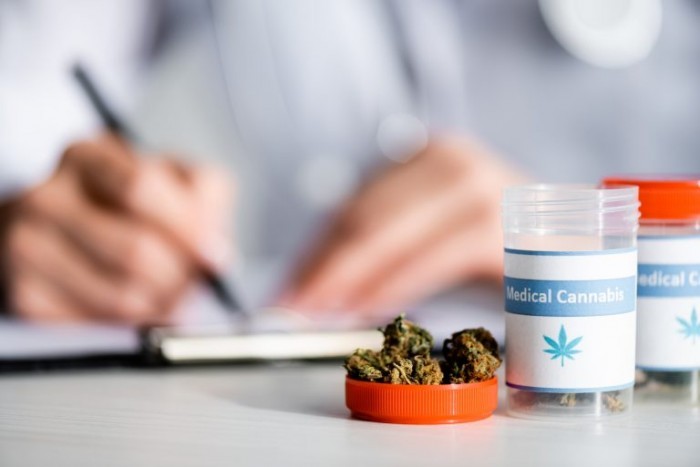 Cadeia de produção da Cannabis para fins medicinais é tema de audiência na próxima terça