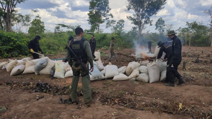 - A operação, que foi realizada entre os dias 6 e 10 de novembro, também culminou na incineração de oito toneladas de maconha prontas para comercialização (Foto: Divulgação).