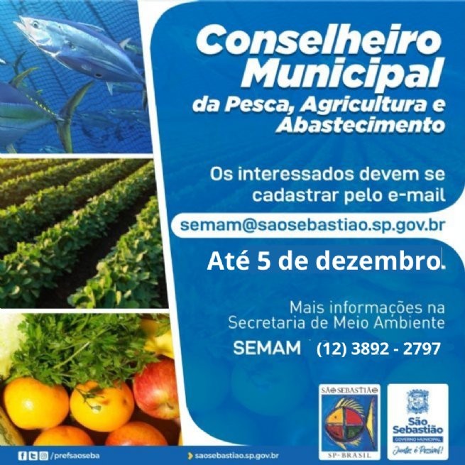Foto: Reprodução/Prefeitura de São Sebastião - SP