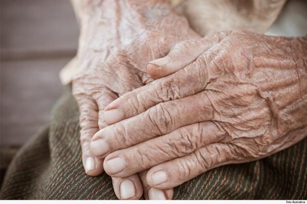 Foto: Reprodução/Câmara de Sorriso - MT