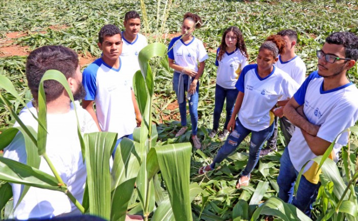 Seminário e Conferência de Educação do Campo e Quilombola acontecem nos dias 16 e 17 de novembro, em Palmas