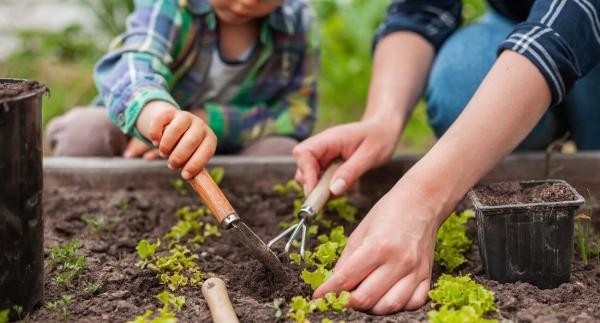 Foto: Reprodução/Câmara de Sorriso - MT