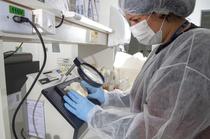 Foto: Hedeson Alves/TECPAR