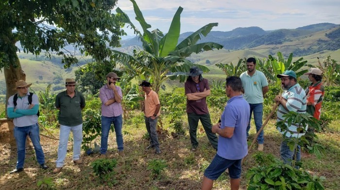 Projeto incentiva adoção de Sistemas Agroflorestais (SAF) em propriedades do Estado