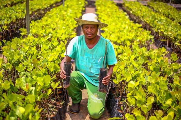 Senado aprova empréstimos de US$ 118 milhões para segurança hídrica e agricultura familiar no Piauí