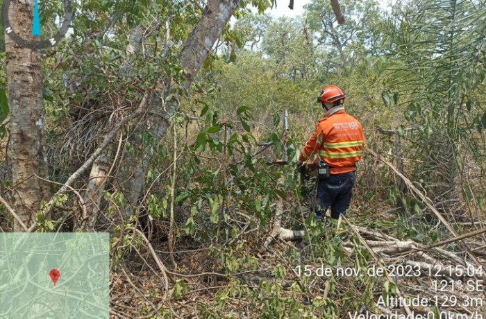 Foto: Reprodução/Secom Mato Grosso do Sul