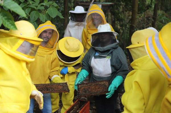 Foto: Reprodução/Prefeitura de Sorriso - MT