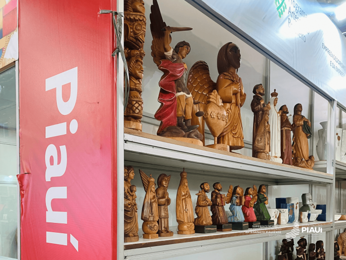 Foto: Reprodução/Secom Piauí