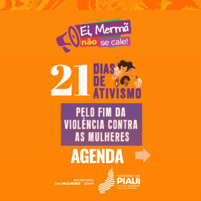 Foto: Reprodução/Secom Piauí