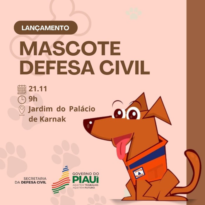 Foto: Reprodução/Secom Piauí