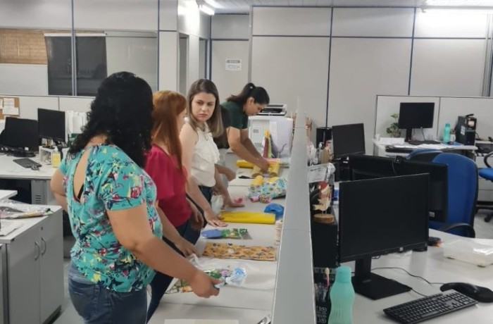 Foto: Reprodução/Secom Mato Grosso do Sul