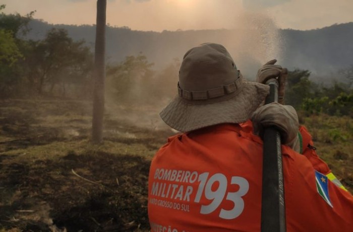Foto: Reprodução/Secom Mato Grosso do Sul