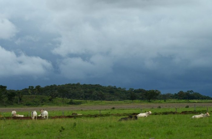 Foto: Reprodução/Secom Mato Grosso do Sul