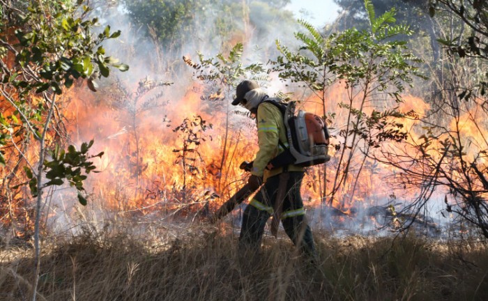 Governo do Tocantins apresenta resultado das ações de combate às queimadas, realizadas pelo Comitê Estadual do Fogo de 2023