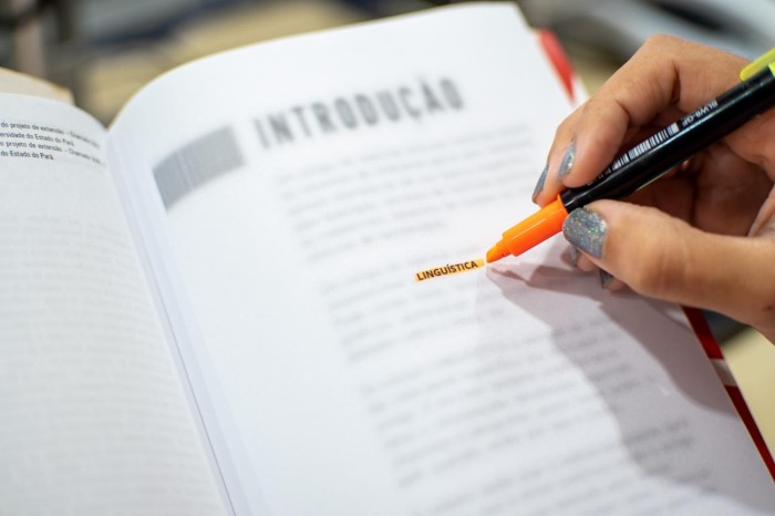 Crédito: Marcelo Rodrigues (Ascom Uepa)