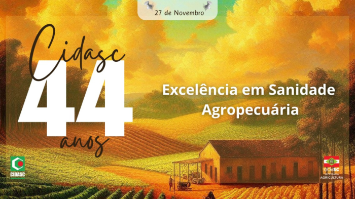 Foto: Reprodução/Secom SC