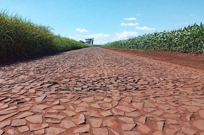 Foto: Reprodução/Secom Paraná