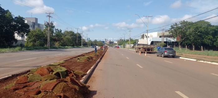 Canteiros das Avenidas NS-2, NS-10 e LO-19 passam por revitalização