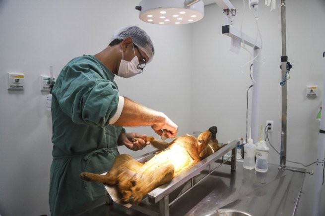 Foto: Reprodução/Prefeitura de São Sebastião - SP