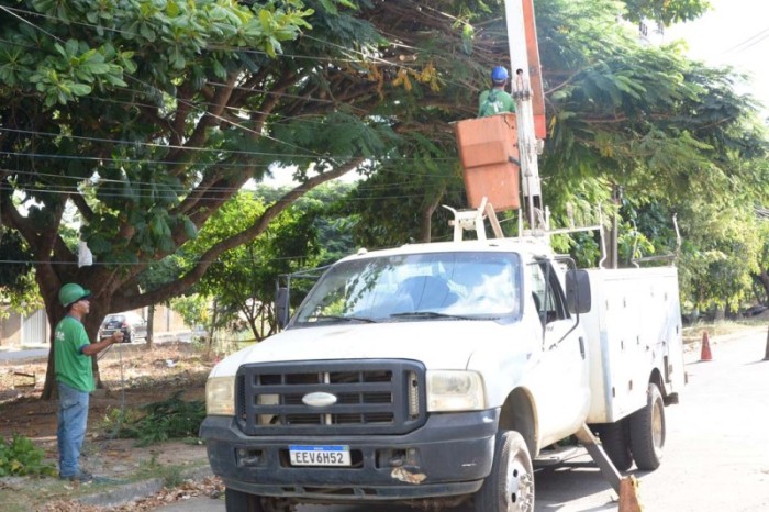 Poda de árvores em Conquista só pode ser feita com autorização da Semma