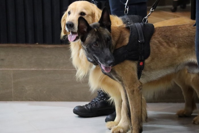 Foto: Reprodução/Polícia Civil - MS